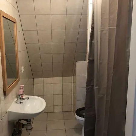 Daire Duplex Hyper Centre Colmar