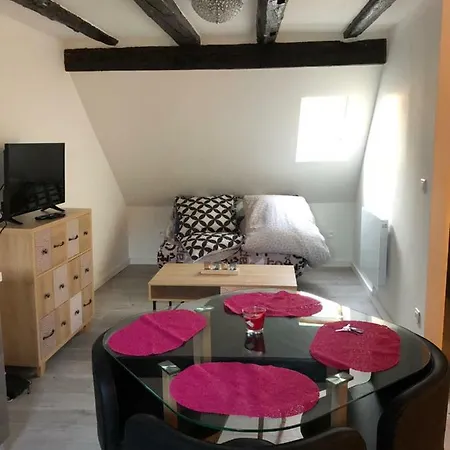 Apartman Duplex Hyper Centre *